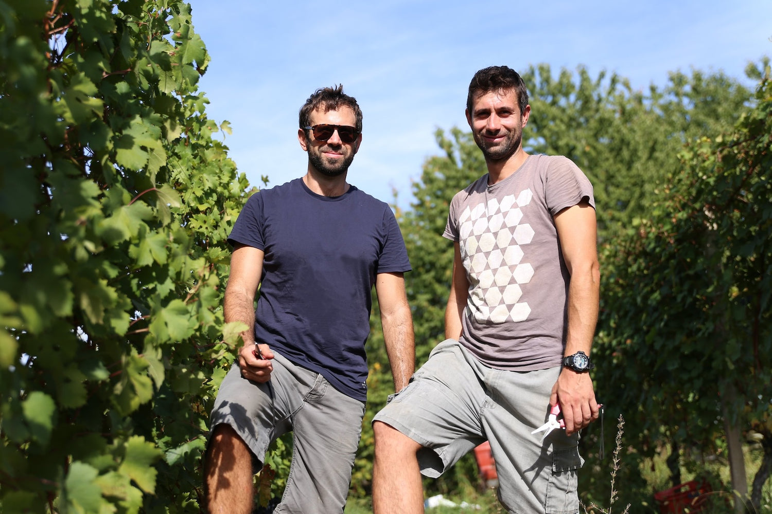 Giovanni & Mattia Gheddo wine producers