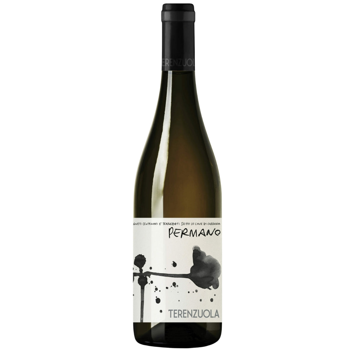 Vermentino, Trebbiano, Italy, Organic, White wine, Tuscany, 2022 Permano Vermentino Trebbiano, Costa Toscana IGT, Terenzuola